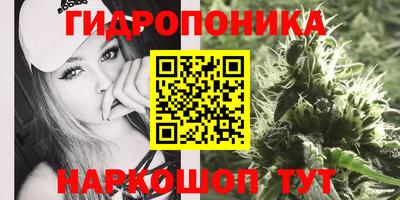 мяу мяу мука Железногорск