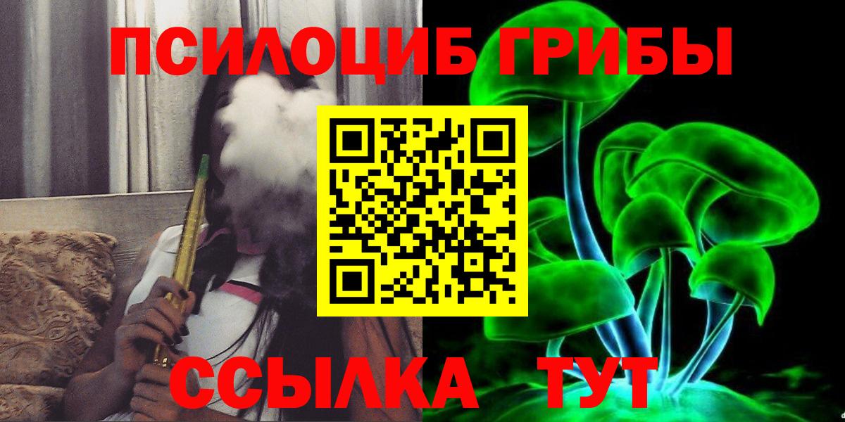 Псилоцибиновые грибы Psilocybe Шебекино