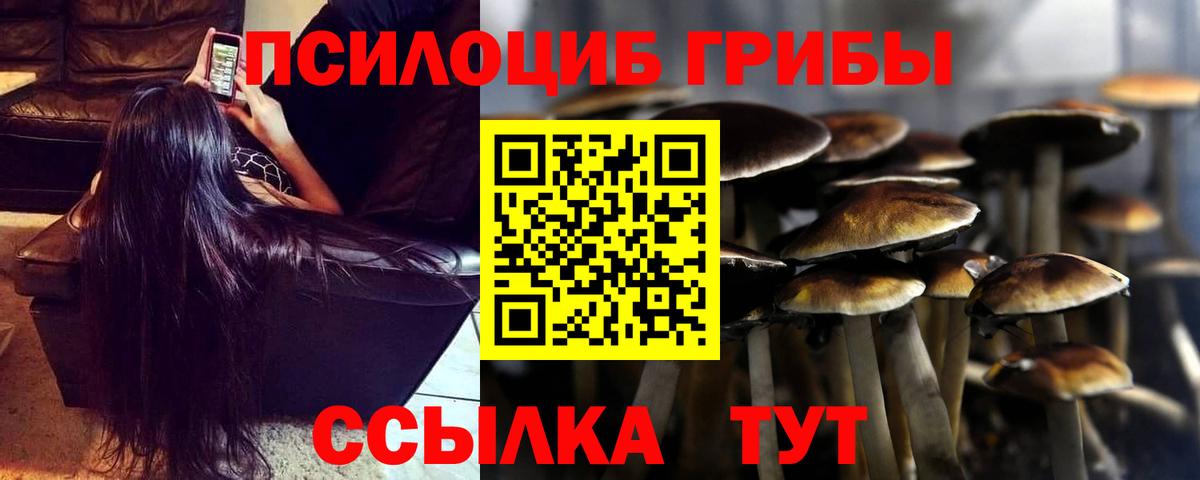 Галлюциногенные грибы MAGIC MUSHROOMS  Вход с VPN  Галлюциногенные грибы мухоморы  Шебекино 