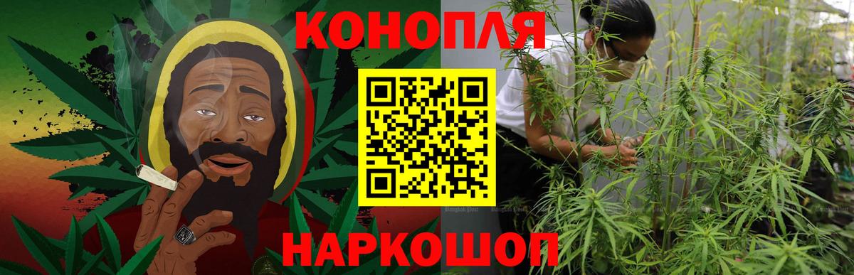Бошки марихуана планчик Шебекино